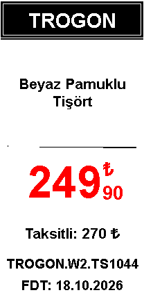 Dikey fiyat · sade şablonuyla örnek etiket: Dikey yerleşim: marka bandı, kırmızı fiyat, taksitli fiyat, ürün kodu ve fiyat değişiklik tarihi.
